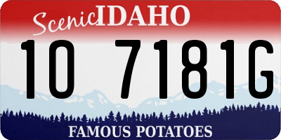 ID license plate 1O7181G