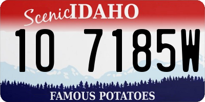 ID license plate 1O7185W