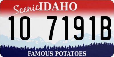 ID license plate 1O7191B