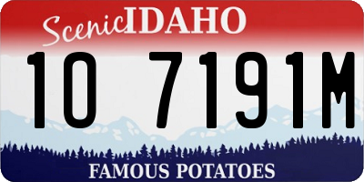 ID license plate 1O7191M