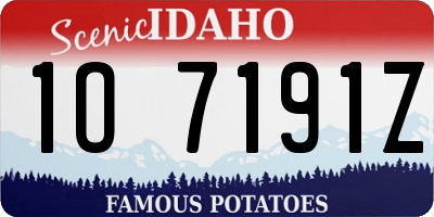 ID license plate 1O7191Z