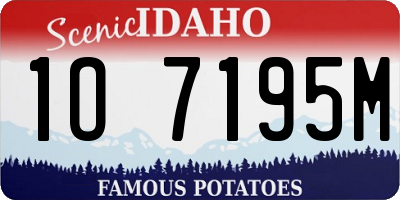ID license plate 1O7195M