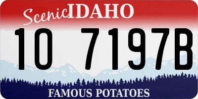 ID license plate 1O7197B