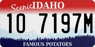 ID license plate 1O7197M