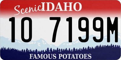 ID license plate 1O7199M