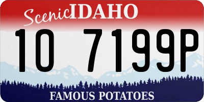 ID license plate 1O7199P