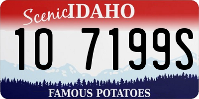 ID license plate 1O7199S