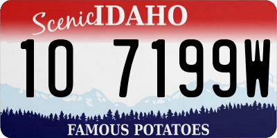 ID license plate 1O7199W