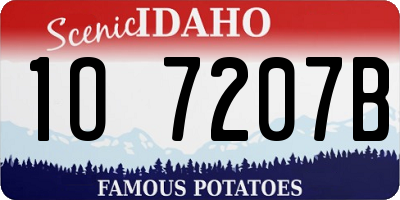 ID license plate 1O7207B