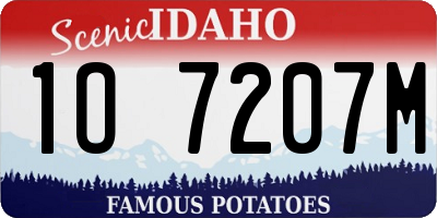 ID license plate 1O7207M