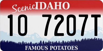 ID license plate 1O7207T