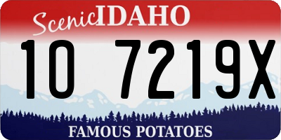 ID license plate 1O7219X