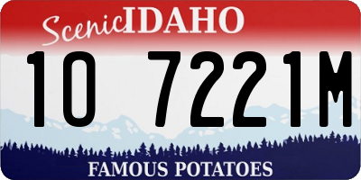 ID license plate 1O7221M