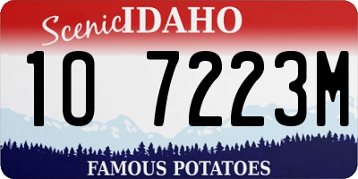 ID license plate 1O7223M