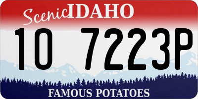 ID license plate 1O7223P