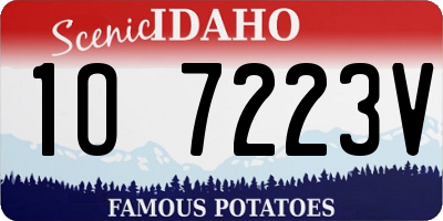 ID license plate 1O7223V