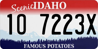 ID license plate 1O7223X