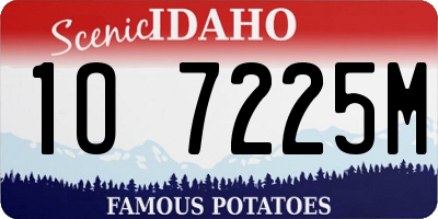 ID license plate 1O7225M