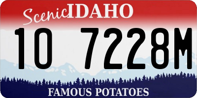 ID license plate 1O7228M