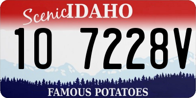 ID license plate 1O7228V