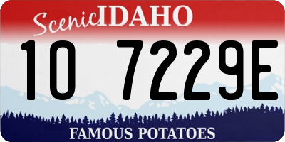 ID license plate 1O7229E