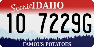 ID license plate 1O7229G