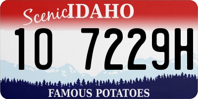ID license plate 1O7229H