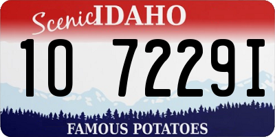 ID license plate 1O7229I