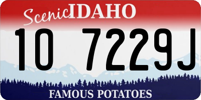 ID license plate 1O7229J