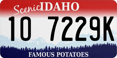 ID license plate 1O7229K