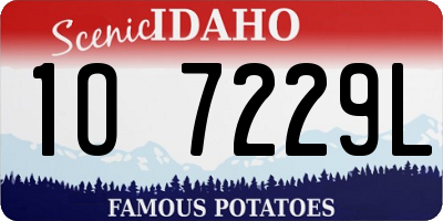 ID license plate 1O7229L