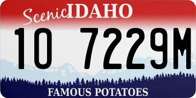 ID license plate 1O7229M