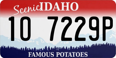 ID license plate 1O7229P