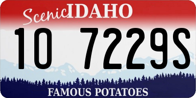ID license plate 1O7229S