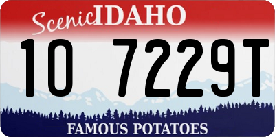 ID license plate 1O7229T