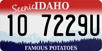 ID license plate 1O7229U