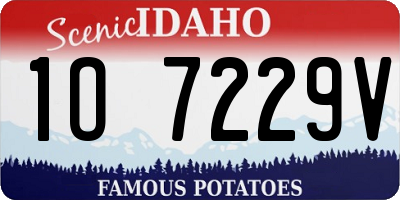 ID license plate 1O7229V