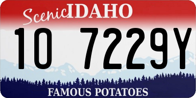 ID license plate 1O7229Y