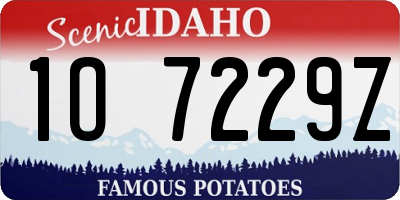 ID license plate 1O7229Z