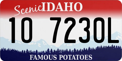 ID license plate 1O7230L