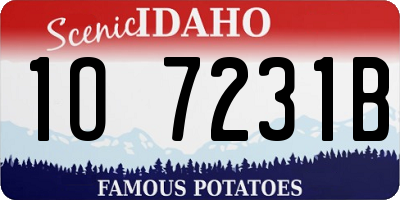 ID license plate 1O7231B