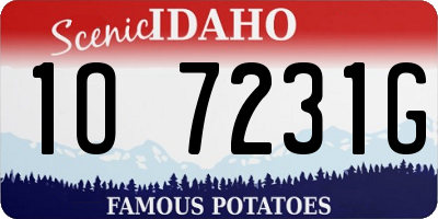 ID license plate 1O7231G