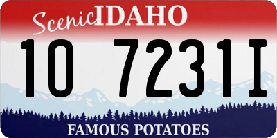 ID license plate 1O7231I
