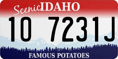 ID license plate 1O7231J