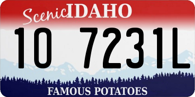 ID license plate 1O7231L