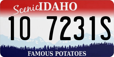 ID license plate 1O7231S