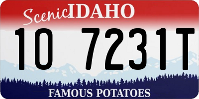ID license plate 1O7231T