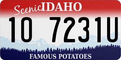 ID license plate 1O7231U