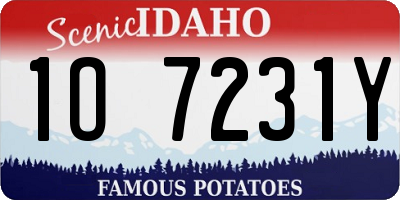ID license plate 1O7231Y