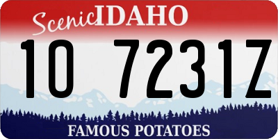 ID license plate 1O7231Z